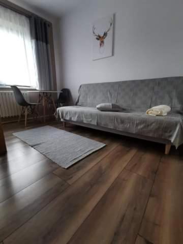 Willa Mery Zakopane Ngoại thất bức ảnh